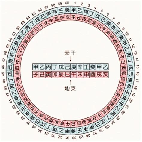 天干地支號碼|五行天干地支對照表